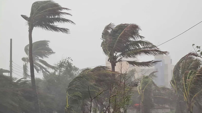 বিশ্বকাপের পর রিয়ালের দায়িত্ব নিতে পারেন স্কালোনি