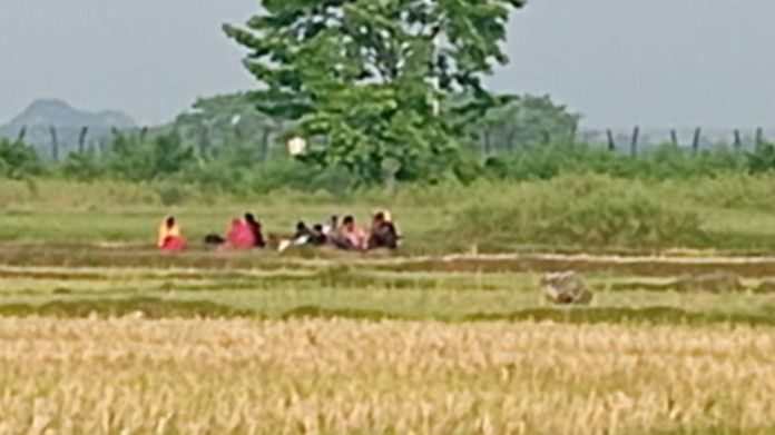 ৪০ ঘণ্টা পর ঠাকুরগাঁও সীমান্তে বাংলাদেশির মরদেহ হস্তান্তর